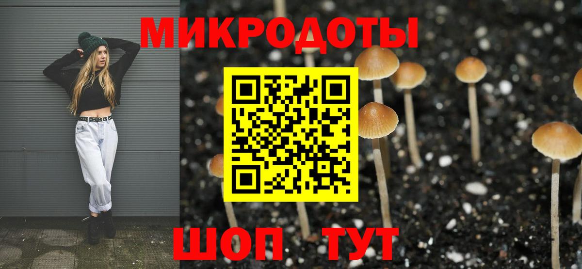 Галлюциногенные грибы Psilocybe  Галлюциногенные грибы прущие грибы  Вход с VPN  Киров 